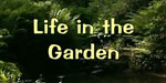 Life In The Garden