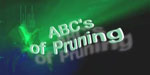 ABCs Of Pruning