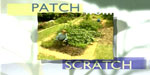 Allotments A Patch From Scratch