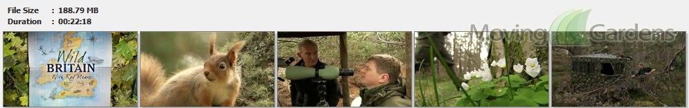 Wild.Britain.with.Ray.Mears.S02E01