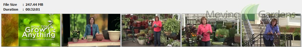 How_to_Grow_Anything_Container_Gardening2