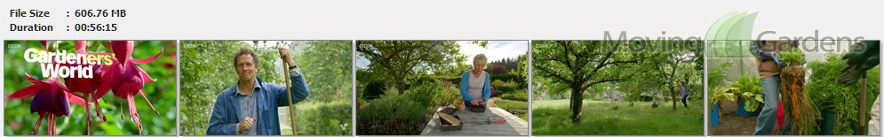 gardeners_world_s49e26_sd-mp4