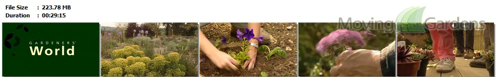 Gardeners World s35e13.mp4