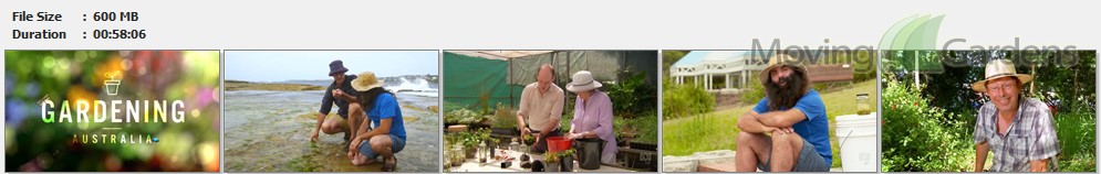 Gardening Australia S29E06 sd.avi