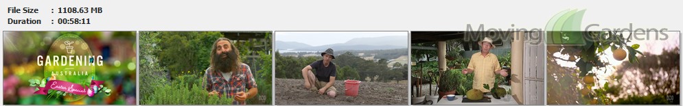 Gardening Australia s31e10.mkv