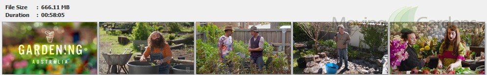 Gardening Australia S33E32.mp4