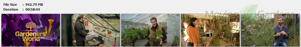 Gardeners World S56E02.mp4