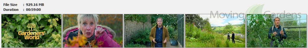 Gardeners World s56 Winter Specials 2023 24 E01.mp4